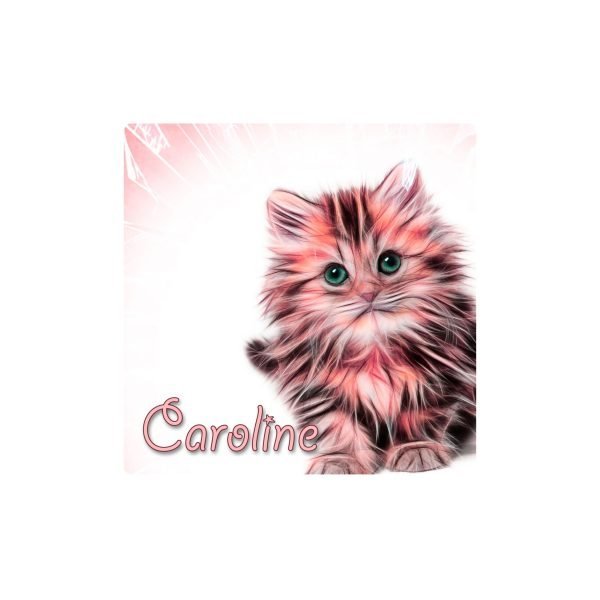 Sottobicchiere Gatto