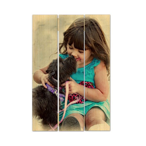 Stampa su listelli in legno Dog friend