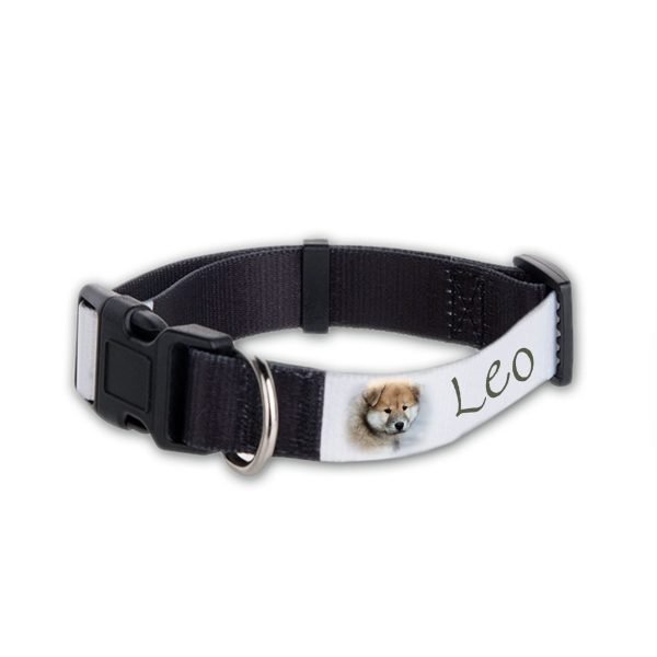 Collare per cani Leo