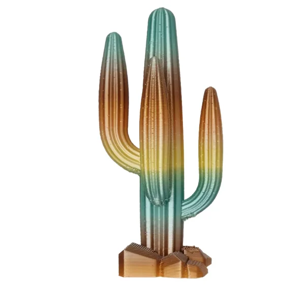 creatudesign.com Cactus 3D